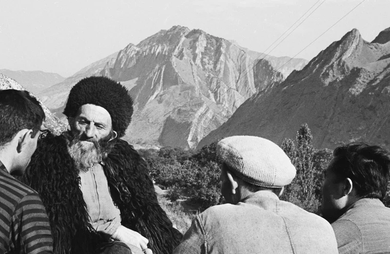 Яшлу инсанарис майил хьасе Соцфондунин багухъас