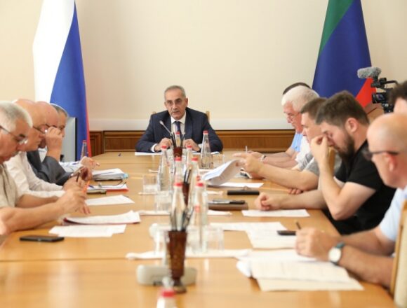 Проблему бездомных животных обсудили в Правительстве Дагестана