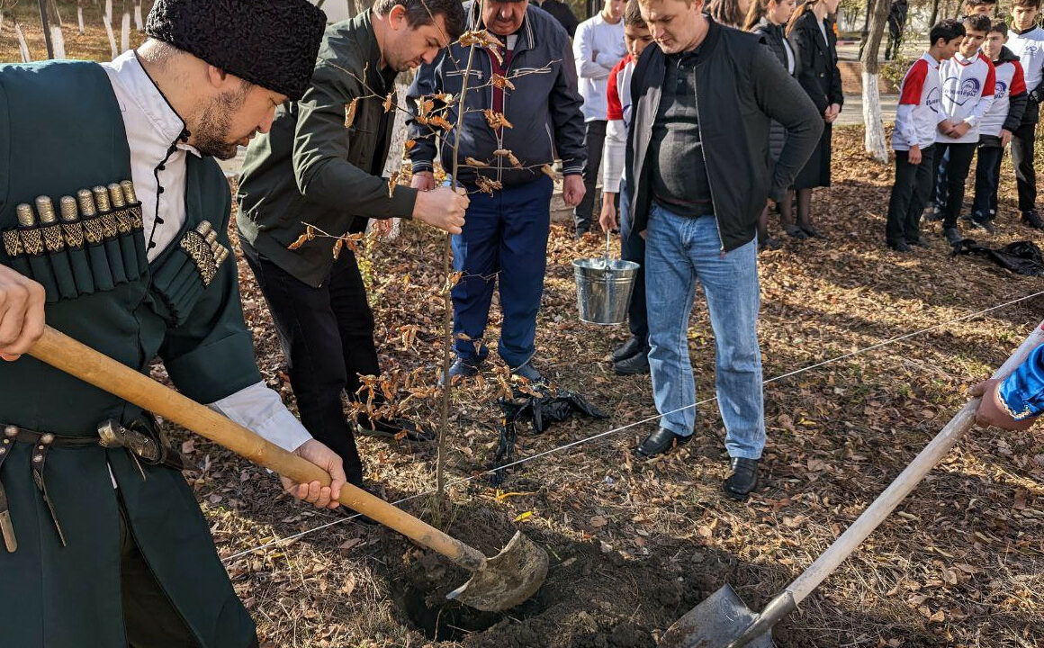 В Карабудахкентском районе высадили «Сад памяти»