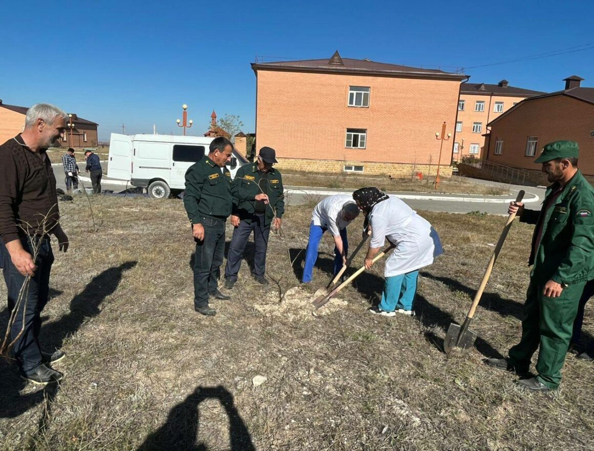 В селе Гурбуки Карабудахкентского района на территории участковой больницы провели акцию «Сад памяти»