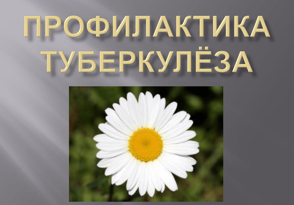 Меры профилактики туберкулеза