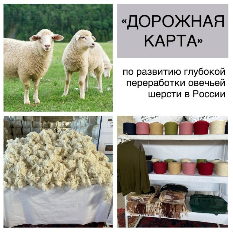 "Дорожная карта" по развитию глубокой переработки овечьей шерсти на территории России утверждена!