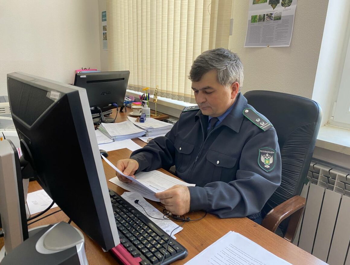 В Дагестане выявлено более 370 тысяч тонн недостоверно задекларированного зерна