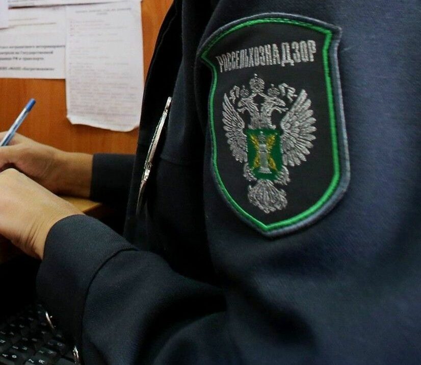 С начала 2024 года Управлением Россельхознадзора по Республике Дагестан прекращено действие 19 деклараций о соответствии