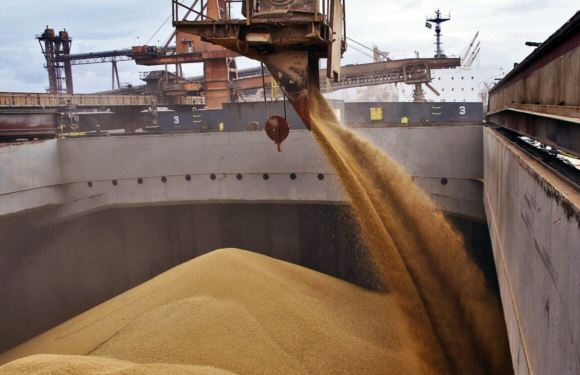 Россельхознадзор по РД проконтролировал отгружаемую в Иран зерновую продукцию в морском порту Махачкалы