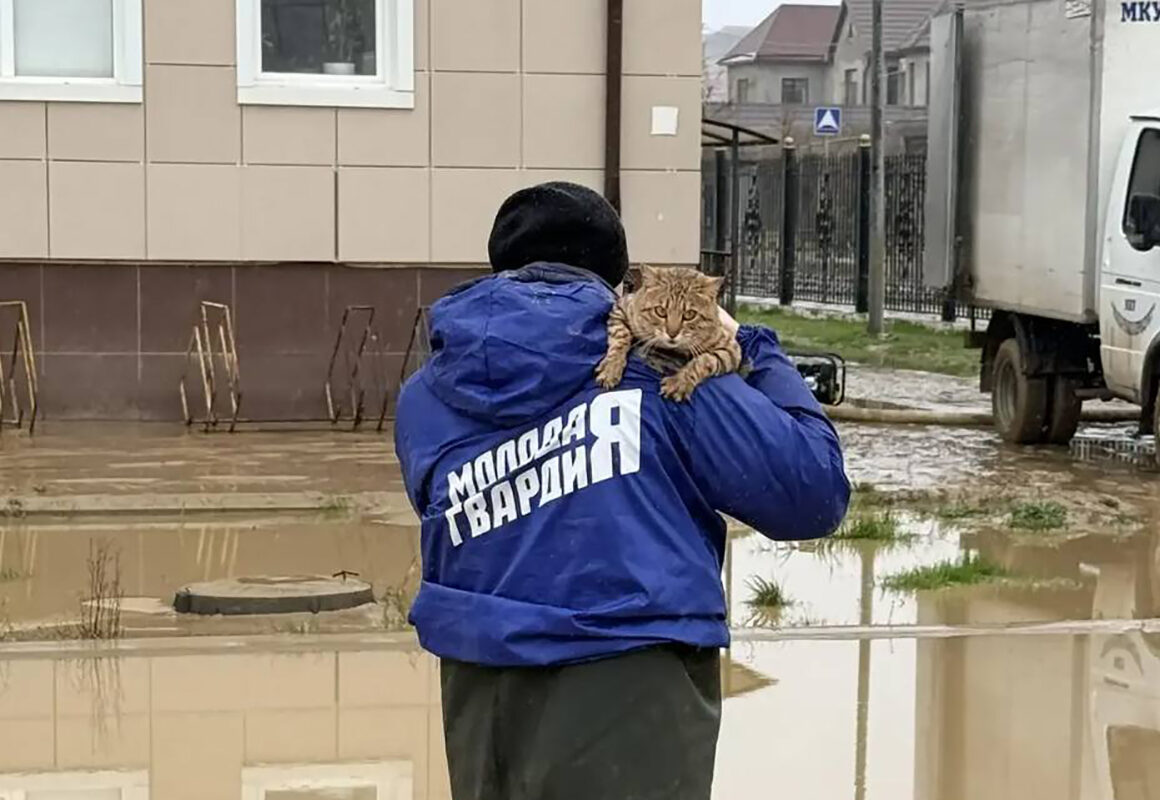 Волонтёры помогают жителям Мамедкалы с документами на компенсации